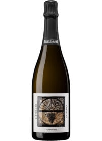Lucidity Brut Nature 2023